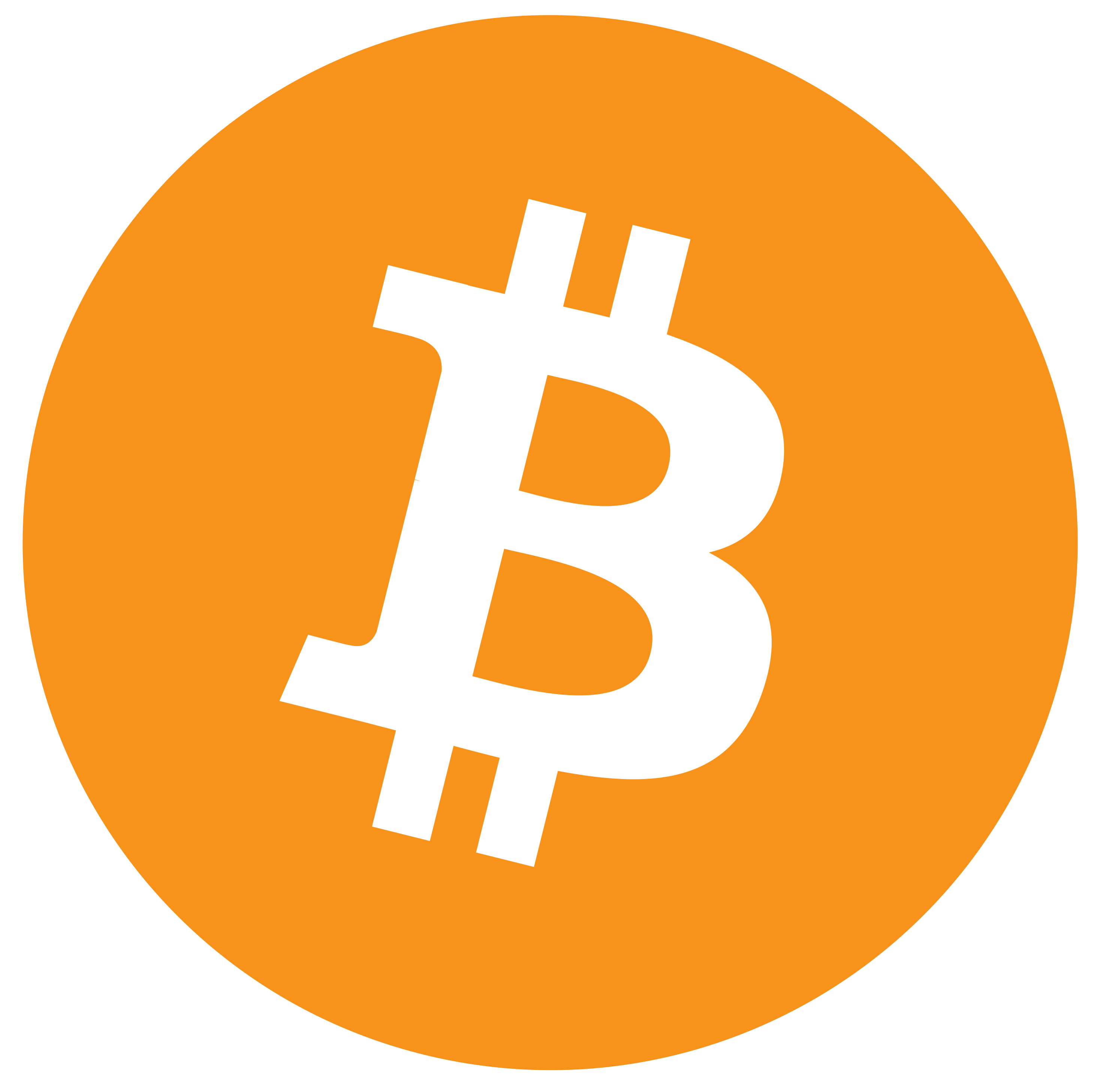 Bitcoin Icon